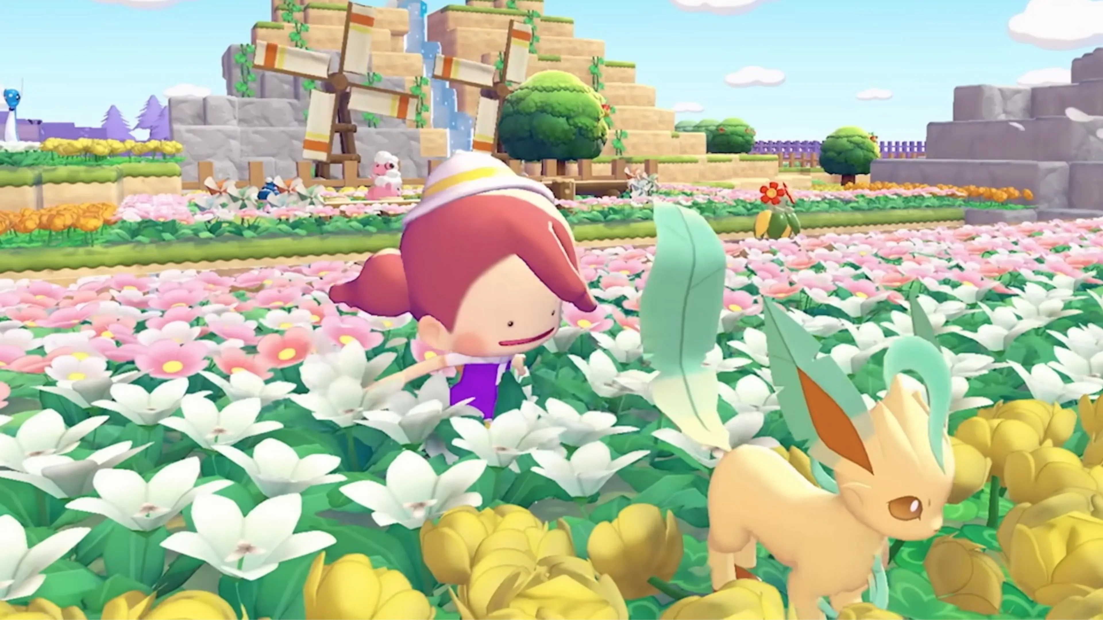 全红婵身高,增长引发热,成绩背后揭,JBO竞博,JBO竞博官网,JBO竞博官网玩家首选