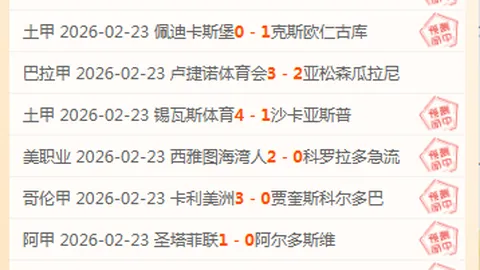 纽卡斯尔喷气机主场对决：能否书写逆袭神话？